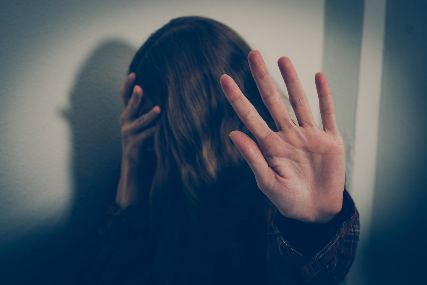 Domestic Violence Restraining Order and Response