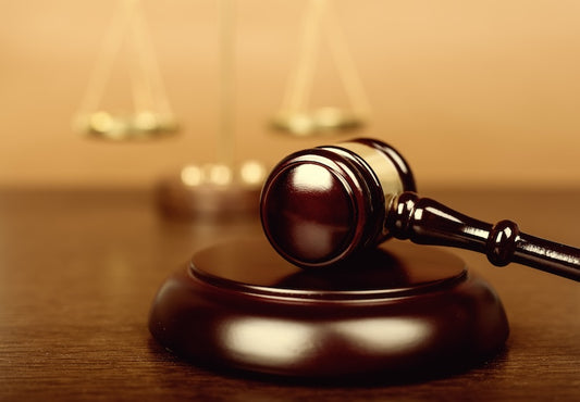 Special Requests (Requests for Evidentiary Hearings, Travel, Garnish Income, Enforcement of Court Orders)